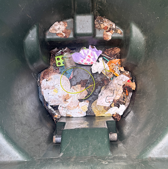 Before Bin Blasting Bros